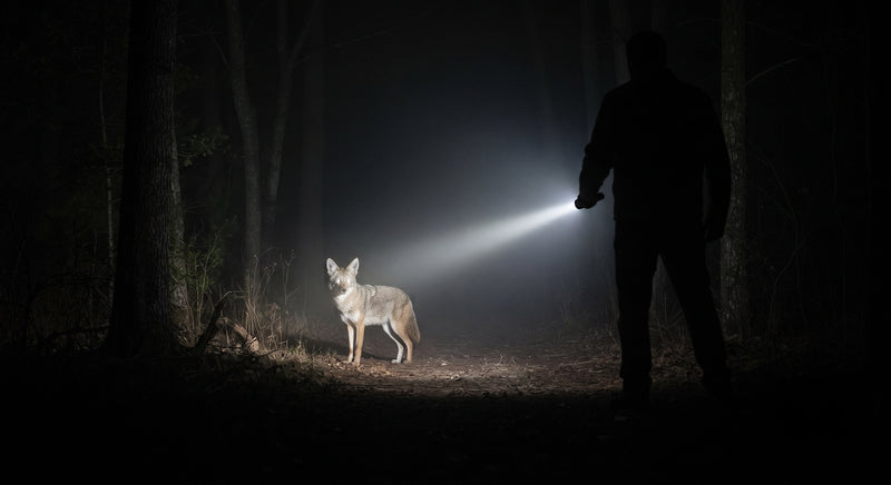 Best Tactical Flashlight for Self Defense